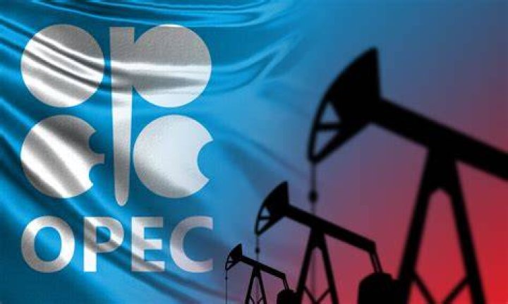 How can OPEC affect us?