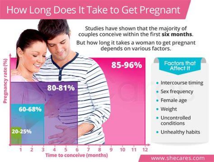 How long does it normally take to get pregnant?