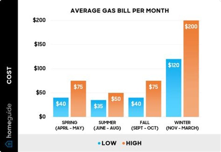 How much does a blog cost per month?