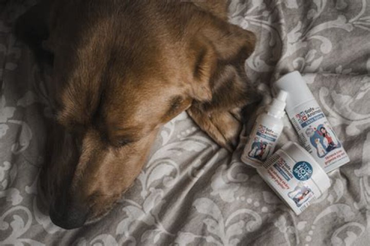 Is Garnier safe for animals?