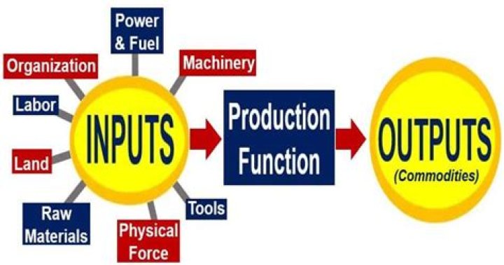 What are inputs in economics?
