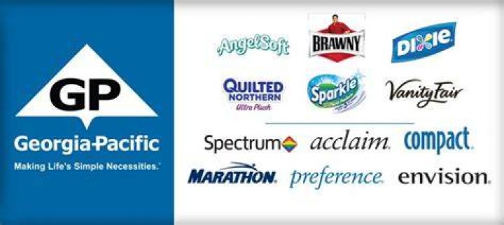What brands does Georgia-Pacific own?
