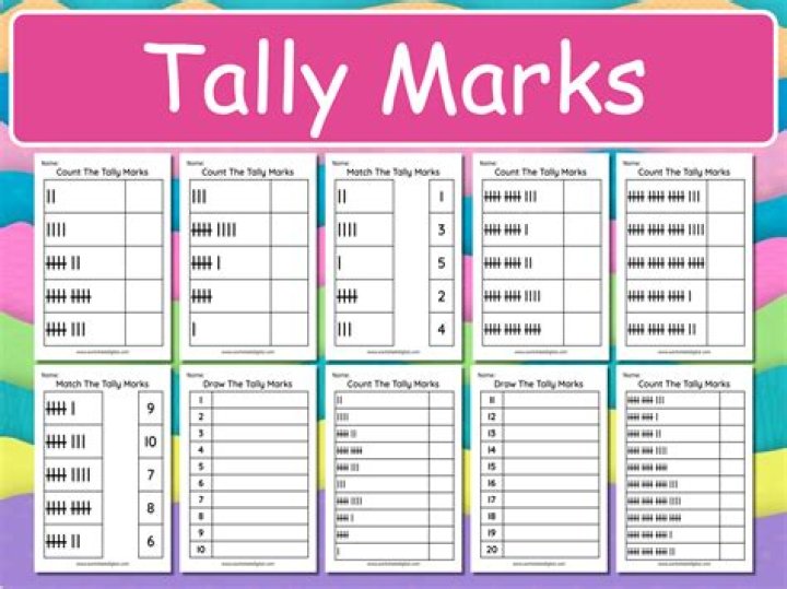 What do u mean by tally in computer?