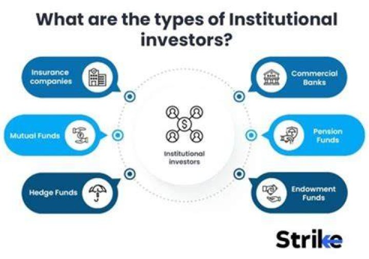 What do you mean by institutional investors?