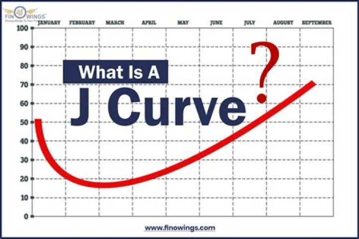 What does the J Curve represent?