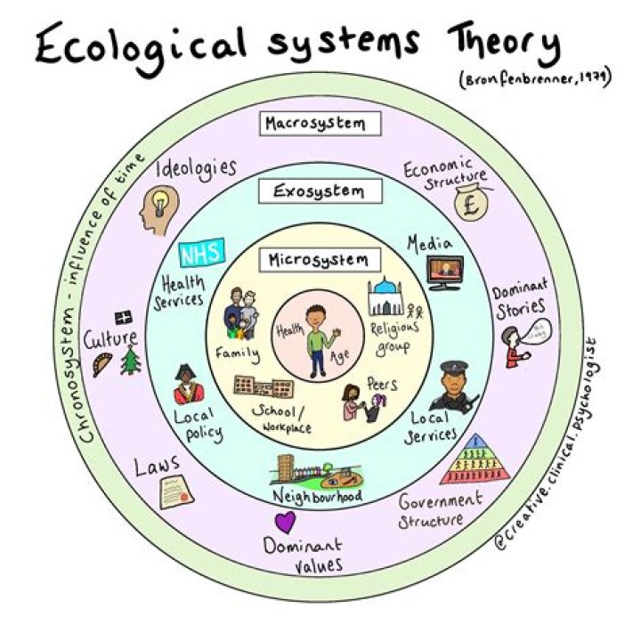 What is a systems theory approach?