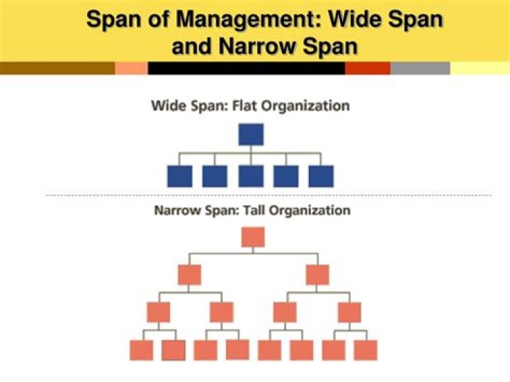 What is a wider span of control?