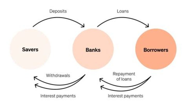 What is borrower fund?