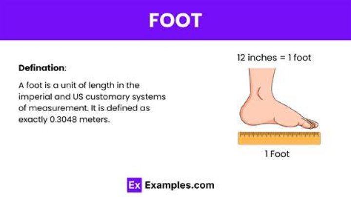 What is one foot long?