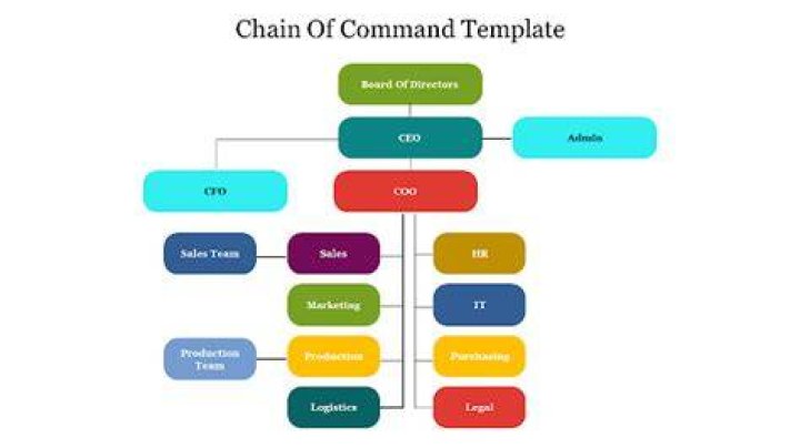 What is the chain of command in a business?