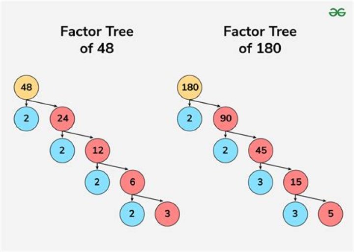 What is the factor tree for 250?