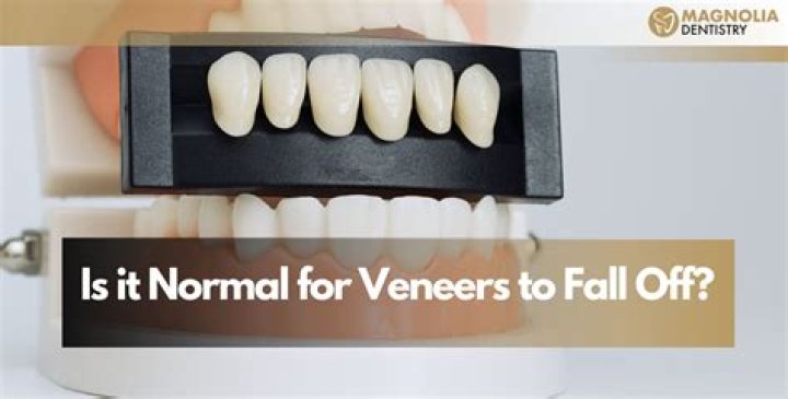 What majors fall under dentistry?
