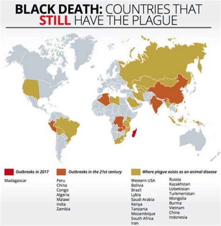 Which countries still have the plague?