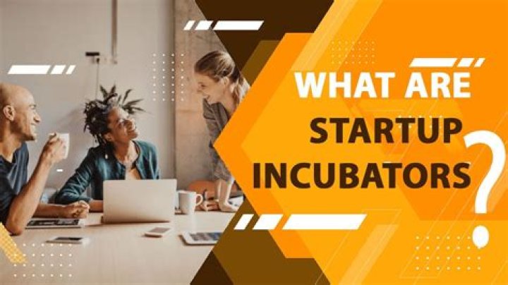 Why do startup businesses need incubators?
