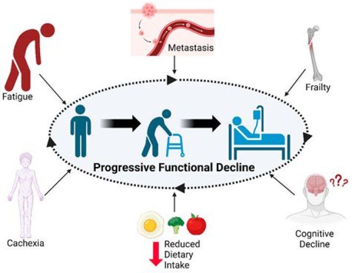 Why does functional reserve decline with age?